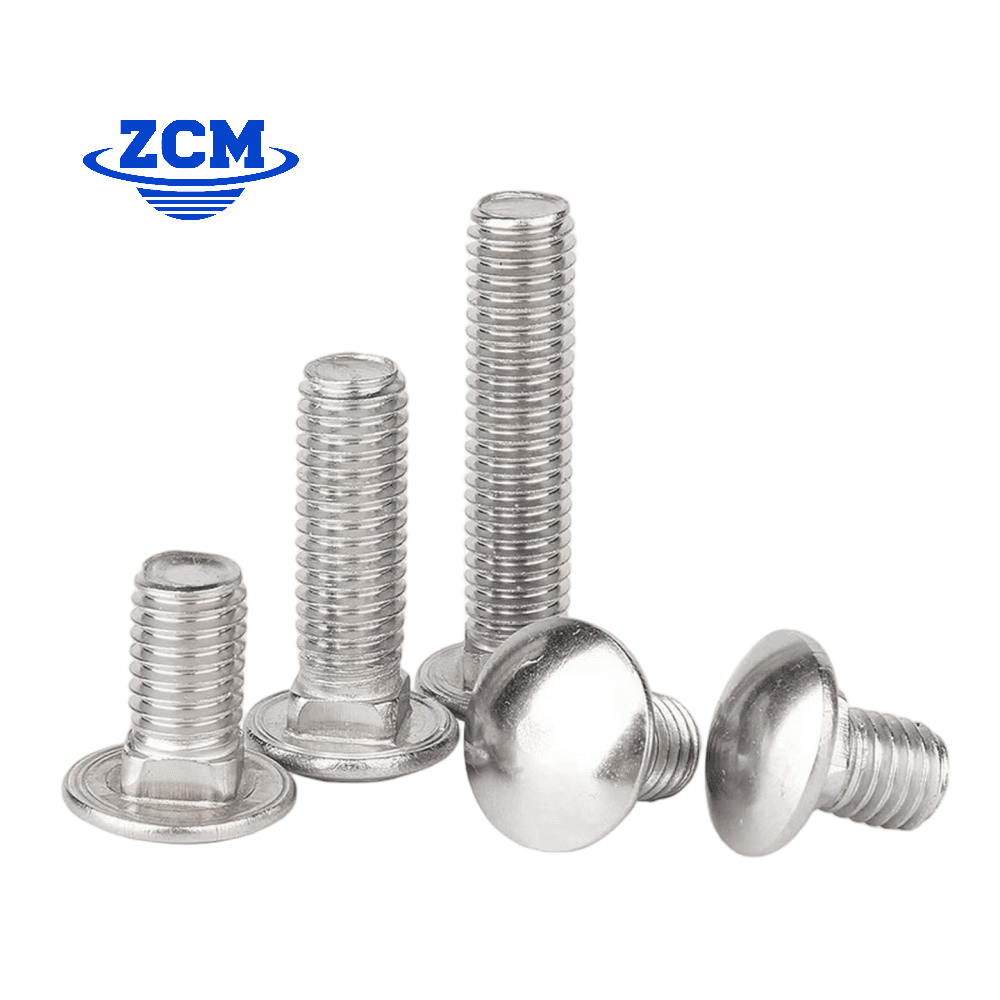Stainless steel carriage bolts various sizes by ZCM